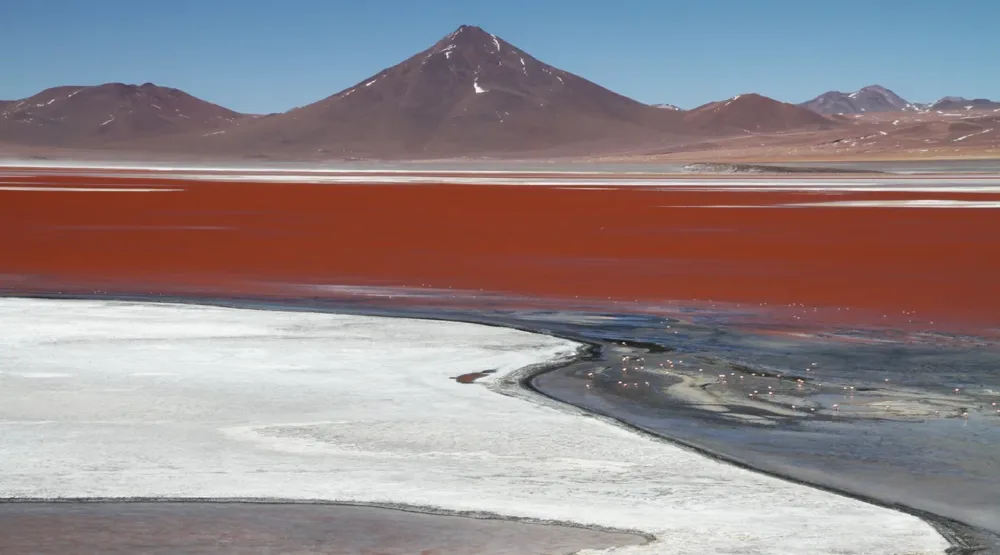 Viaggio 4x4 in Bolivia, Off Road fra Alpaca e Salar
