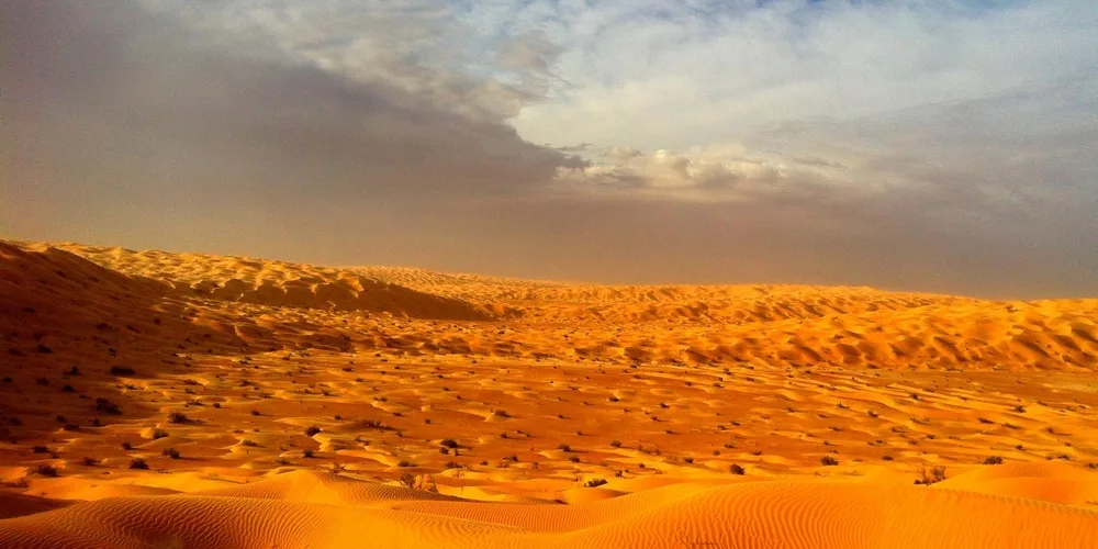 110sif es souane marzo 2013 desert experience 1