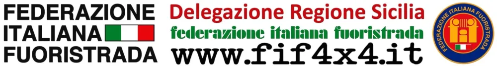 1° Fenice No Track Raduno nazionale F.I.F.