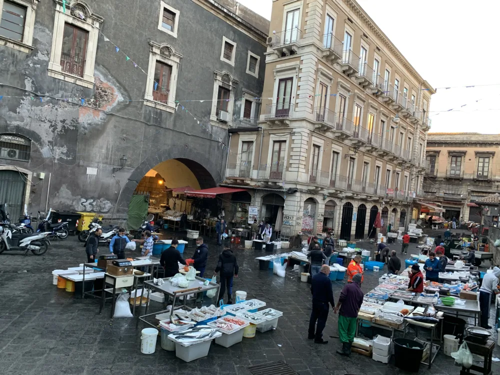 IMG 0884 1